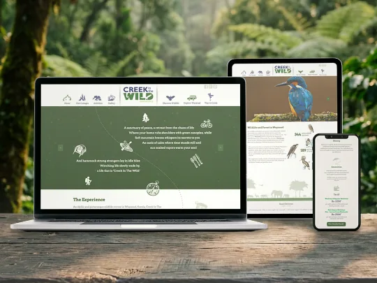 Creek in the Wild, responsive site